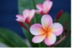 View the gallery...