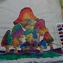 IMG 0027