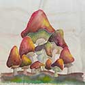 IMG 0033